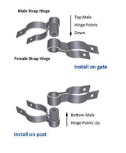 1-3/8" Female Hinge - 10 pack