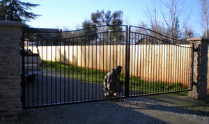 Over Arch Horizon Ornamental Iron Gate