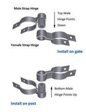 2-1/2" Male Hinge